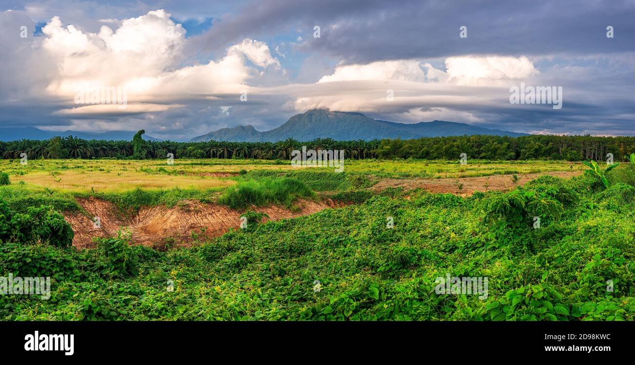 Landschaft Bergblick mit blauem Himmel und weißer Wolke und grünem Gras im Abendlicht, Panorama Stockfoto