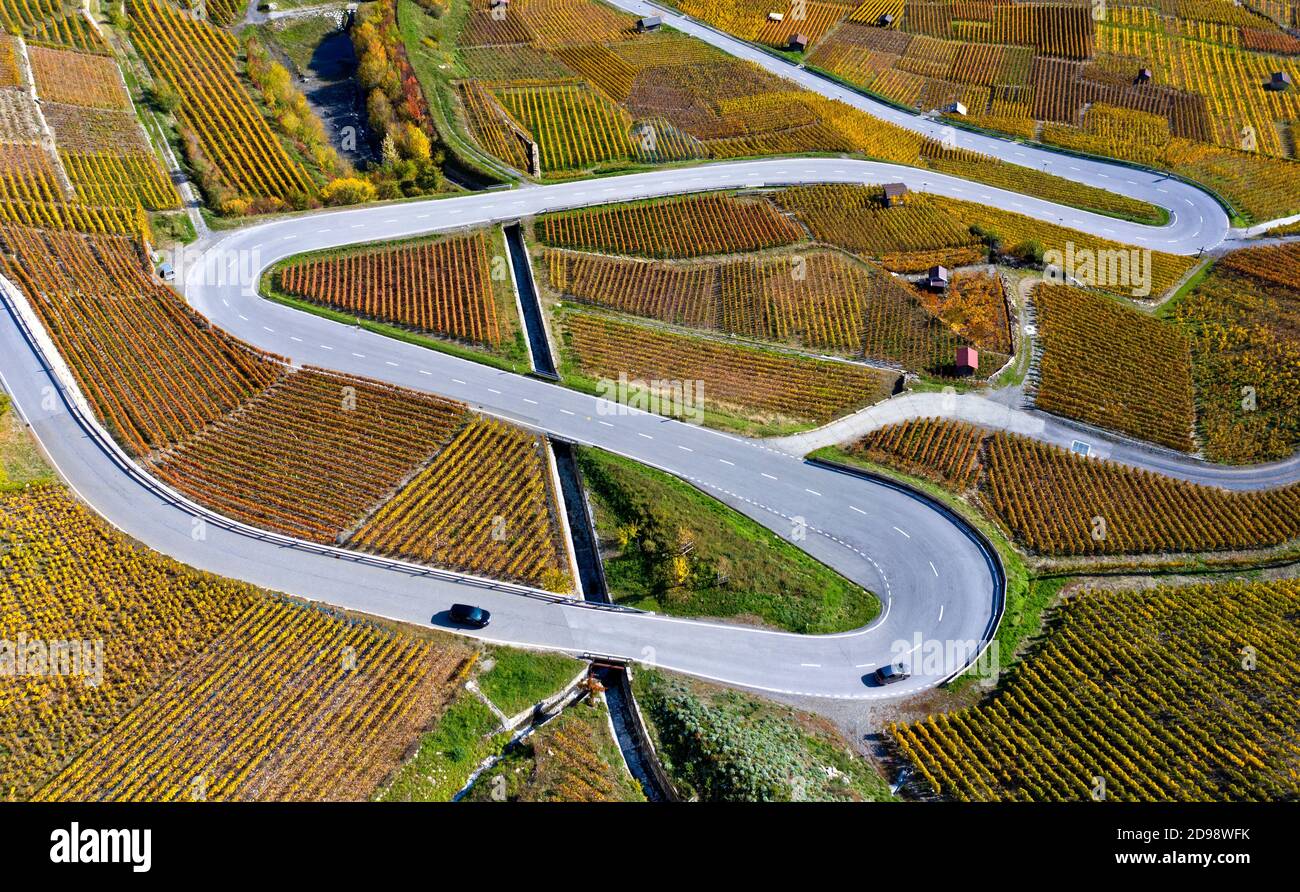 Eine Serpentinenstraße, die sich durch herbstliche Weinberge im Weinbaugebiet Leytron, Leytron, Wallis, Schweiz schlängelt Stockfoto