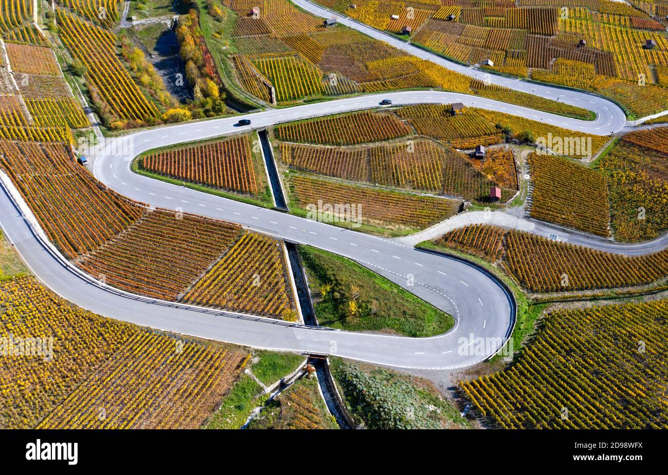 Eine Serpentinenstraße, die sich durch herbstliche Weinberge im Weinbaugebiet Leytron, Leytron, Wallis, Schweiz schlängelt Stockfoto