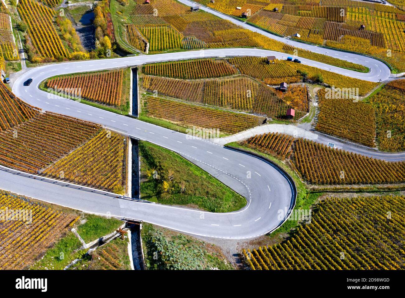 Eine Serpentinenstraße, die sich durch herbstliche Weinberge im Weinbaugebiet Leytron, Leytron, Wallis, Schweiz schlängelt Stockfoto