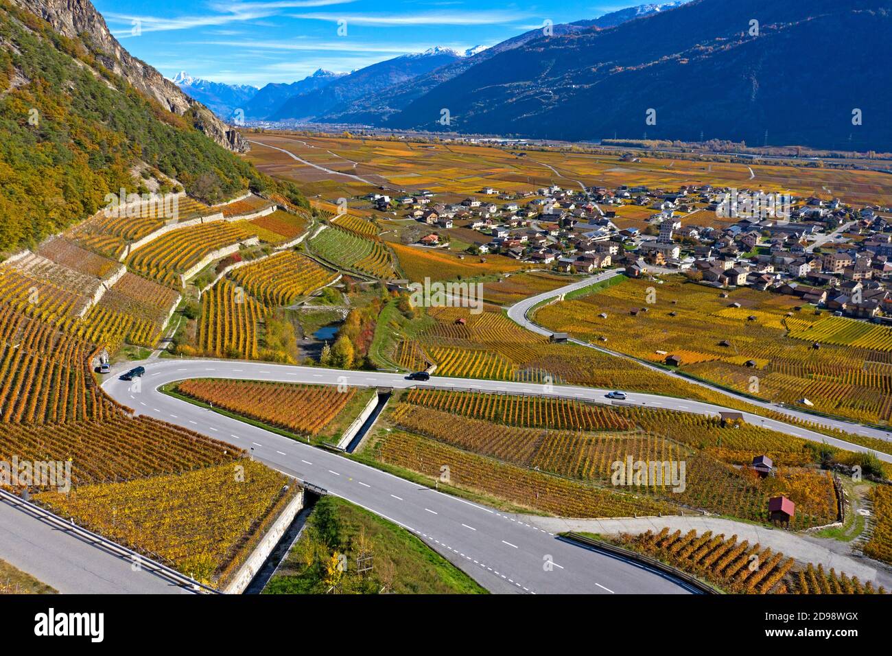 Weinberge in Herbstfarben im Rhonetal, Weinbaugebiet Leytron, Leytron, Wallis, Schweiz Stockfoto