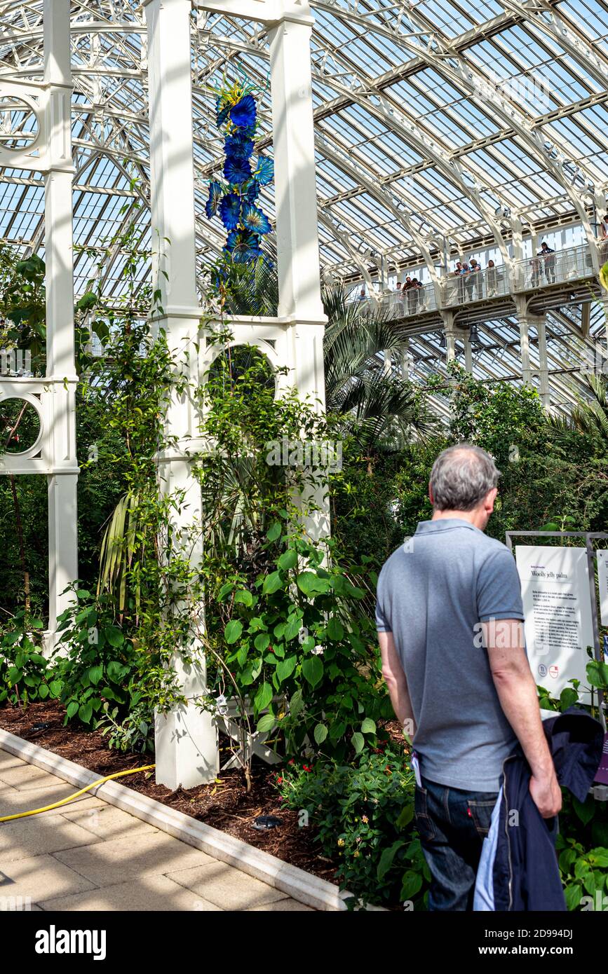 Dale Chihuly Kunstwerk in Kew Gardens ausgestellt Stockfoto