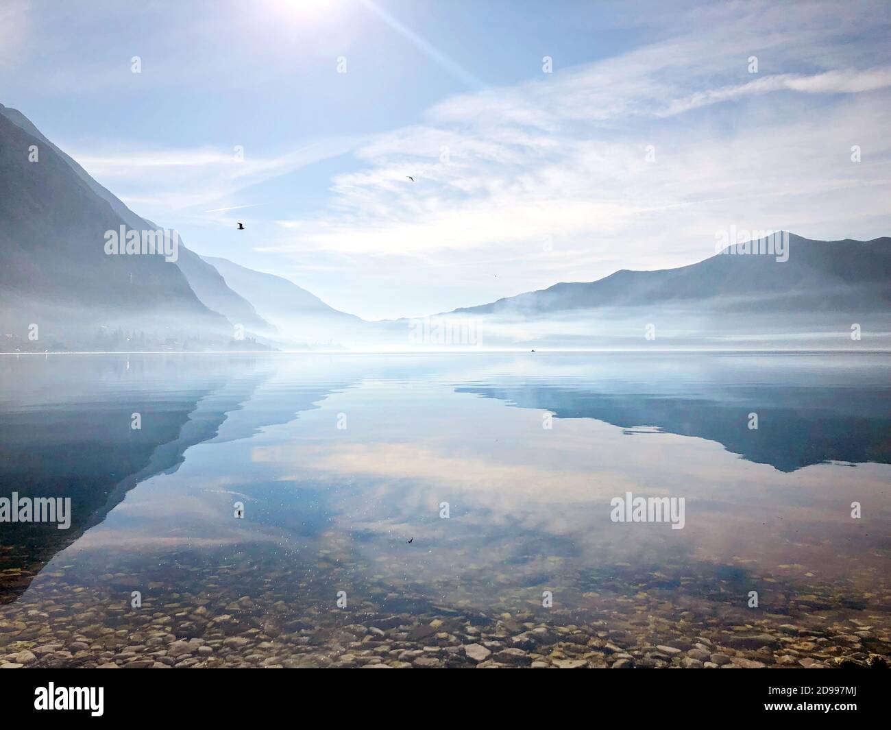 Landschaft Morgennebel, Berge spiegeln sich in ruhigem Wasser, Möwen fliegen Stockfoto