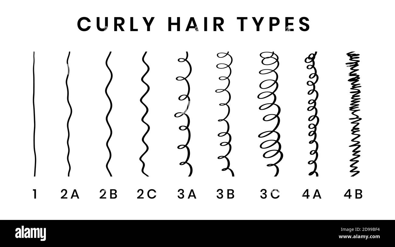 Vektordarstellung der Haartypen Diagramm mit allen Lockenarten, beschriftet. Lockiges Mädchen Methode Konzept. Von 1 bis 4B. Stock Vektor