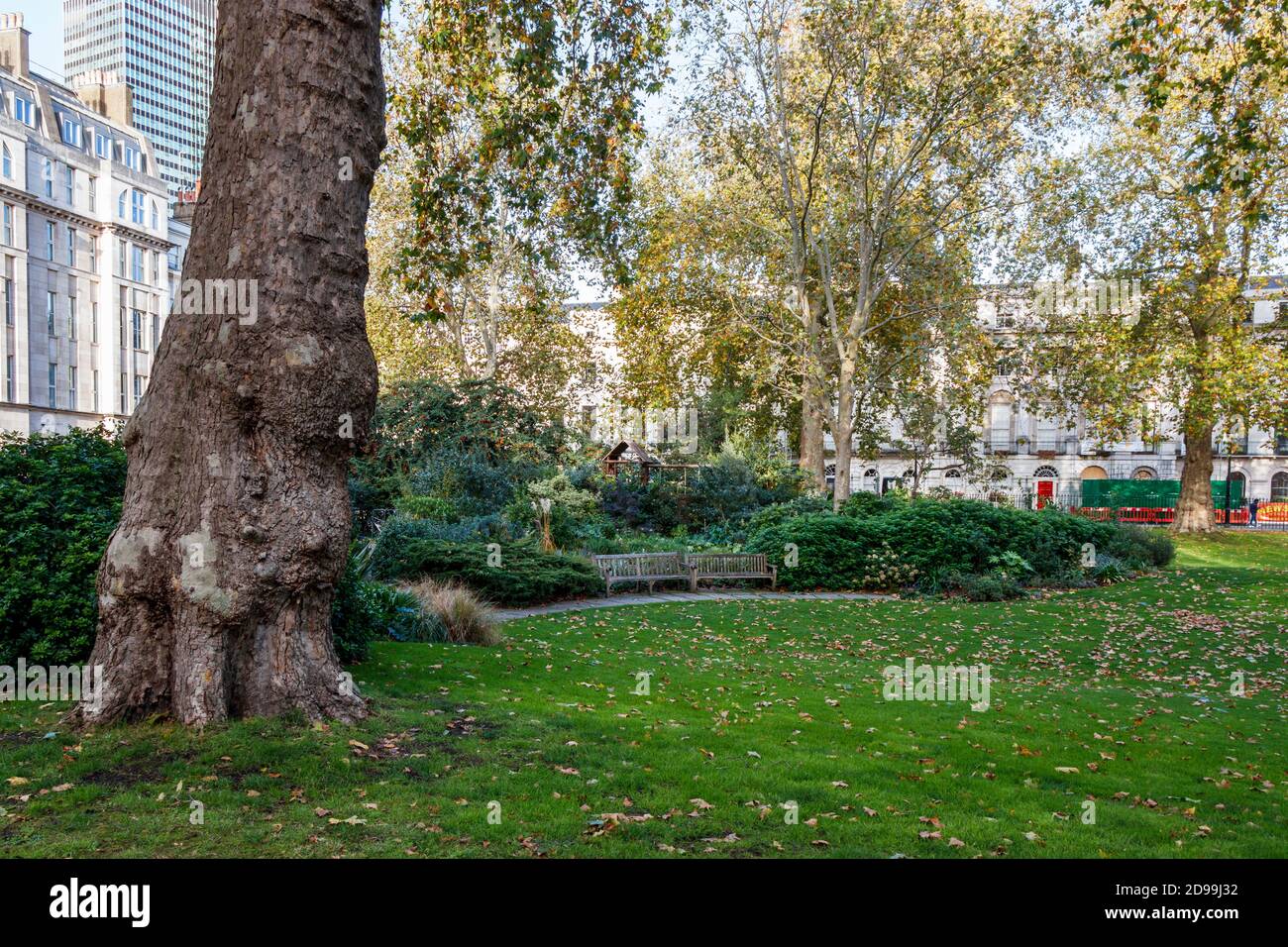 Fitzroy Gardens in Fitzroy Square an einem sonnigen Nachmittag im Oktober, London, Großbritannien Stockfoto