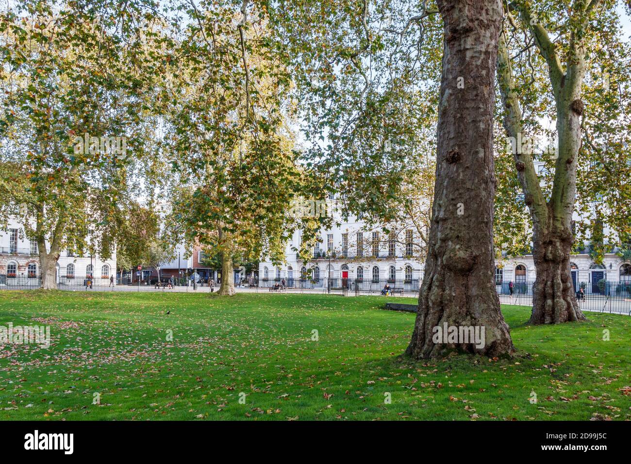 Fitzroy Gardens in Fitzroy Square an einem sonnigen Nachmittag im Oktober, London, Großbritannien Stockfoto