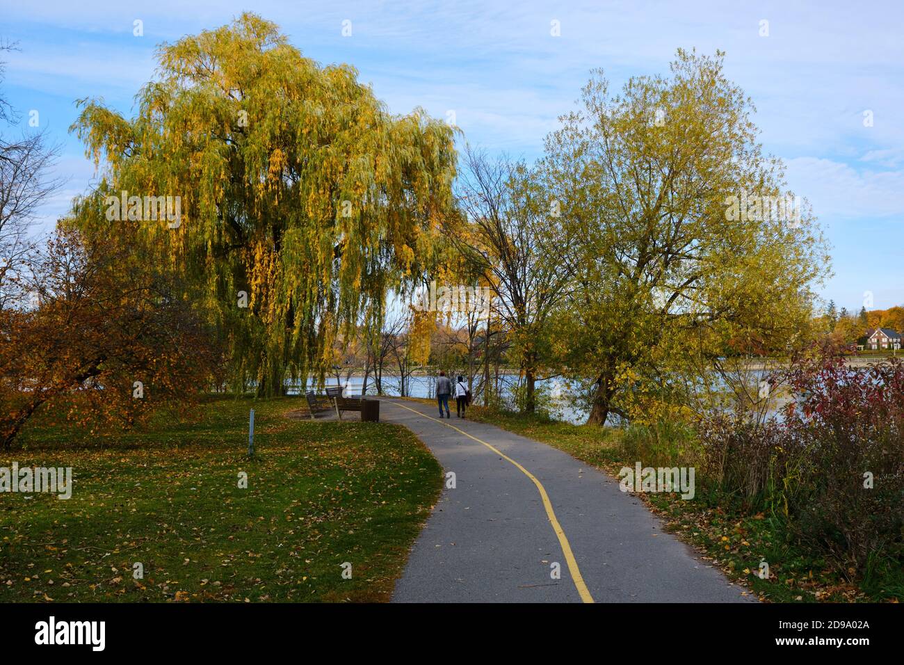 Radfahrer und Läufer genießen die Wege im Dow's Lake Park an einem hellen Herbsttag. Ottawa, Kanada. 25. Oktober 2020 Stockfoto