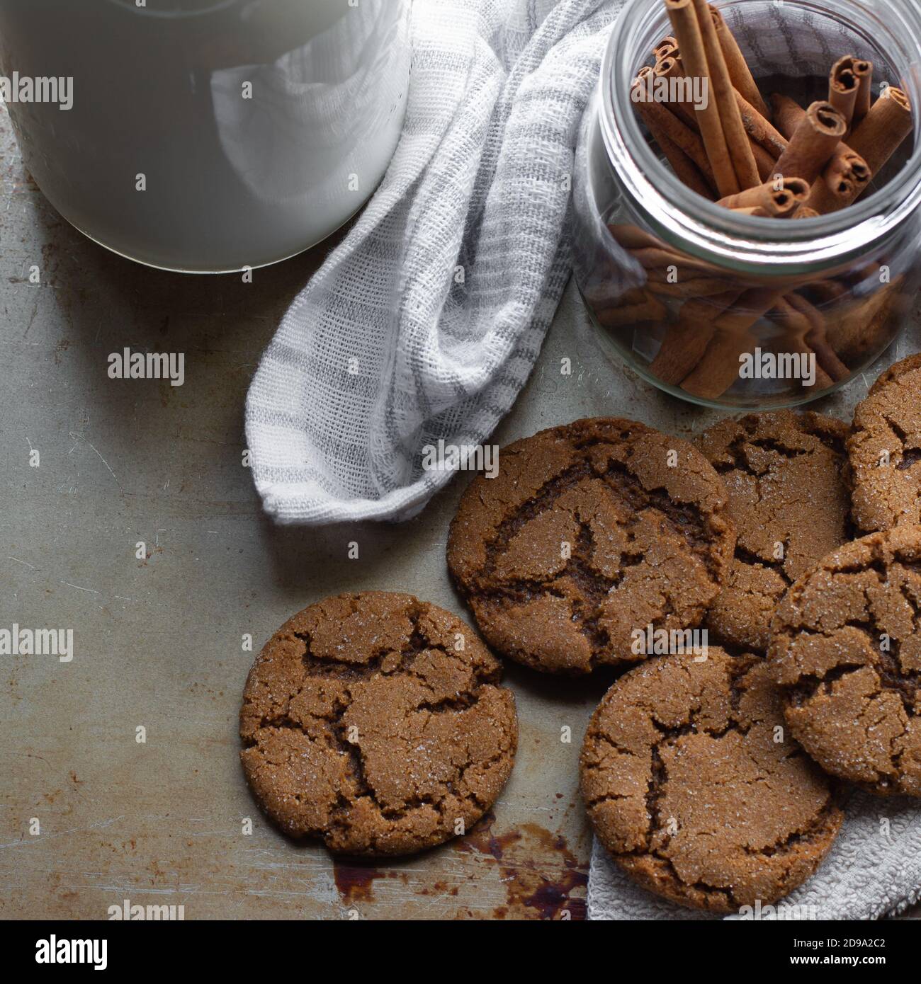 Ingwer Snap Cookies mit Milch und Zimt-Sticks, Familienkost Stockfoto