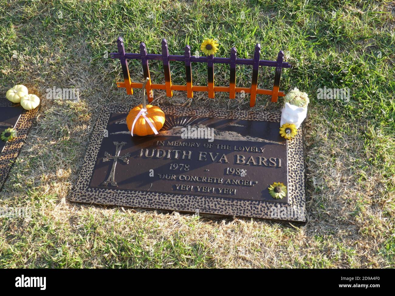 Los Angeles, Kalifornien, USA 3. November 2020 EIN allgemeiner Blick auf die Atmosphäre des Grabes der Schauspielerin Judith Barsi im Forest Lawn Hollywood Hills Memorial Park am 3. November 2020 in Los Angeles, Kalifornien, USA. Foto von Barry King/Alamy Stockfoto Stockfoto