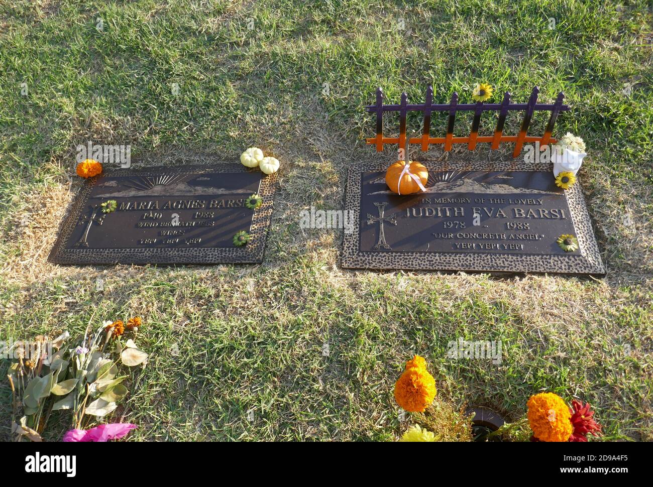 Los Angeles, Kalifornien, USA 3. November 2020 EIN allgemeiner Blick auf die Atmosphäre des Grabes der Schauspielerin Judith Barsi und ihrer Mutter Maria Virovacz Barsi am 3. November 2020 im Forest Lawn Hollywood Hills Memorial Park in Los Angeles, Kalifornien, USA. Foto von Barry King/Alamy Stockfoto Stockfoto
