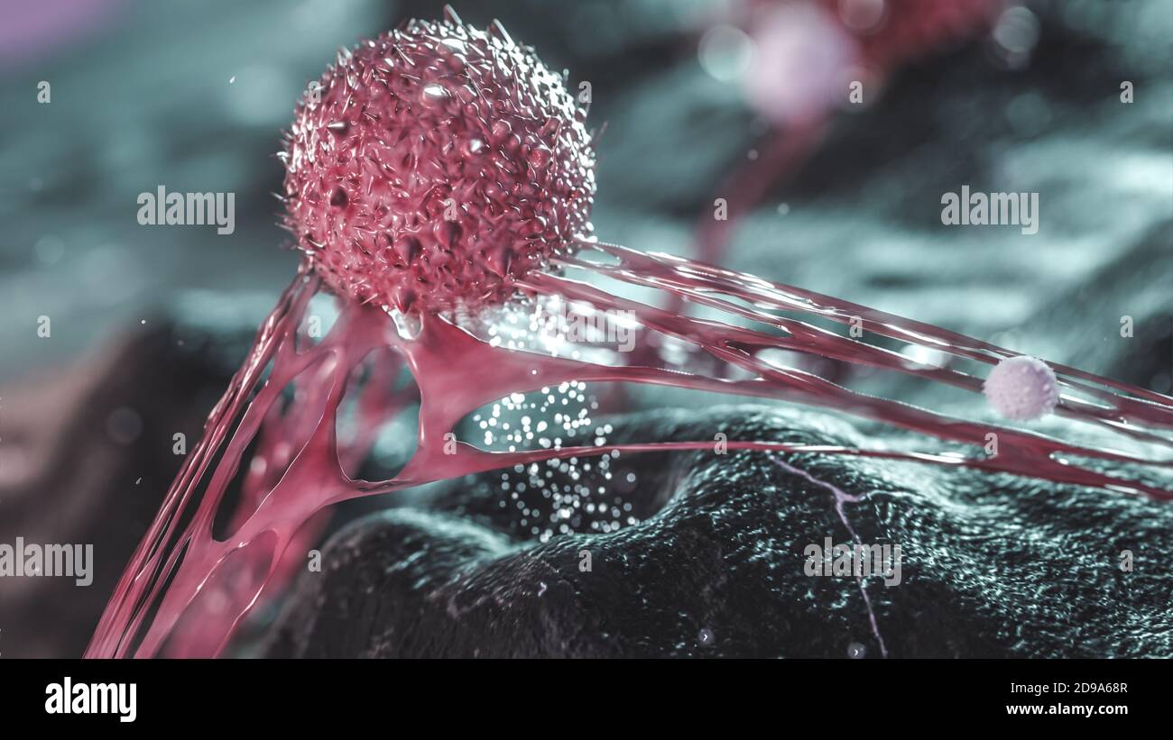 Krebszelle infiziert gesundes Gewebe, Krebszelle und T-Zell-Angriff Onkologie Konzept Krebs Tumor verbreiten 3d-Rendering Stockfoto