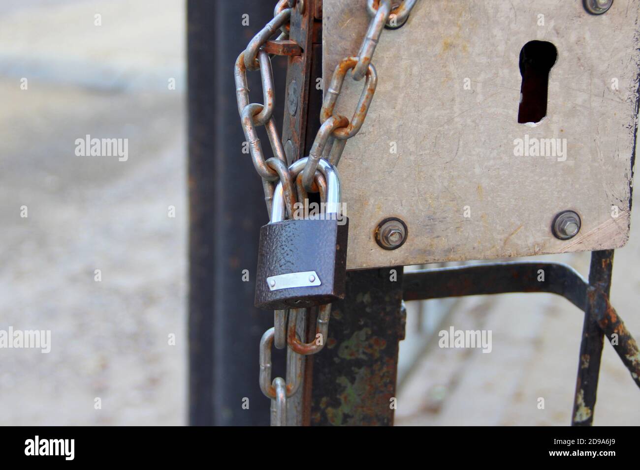 Ein neues braunes Vorhängeschloss mit einem glänzenden Bogen hängt an einer Kette an einer eisernen Tür. Stockfoto