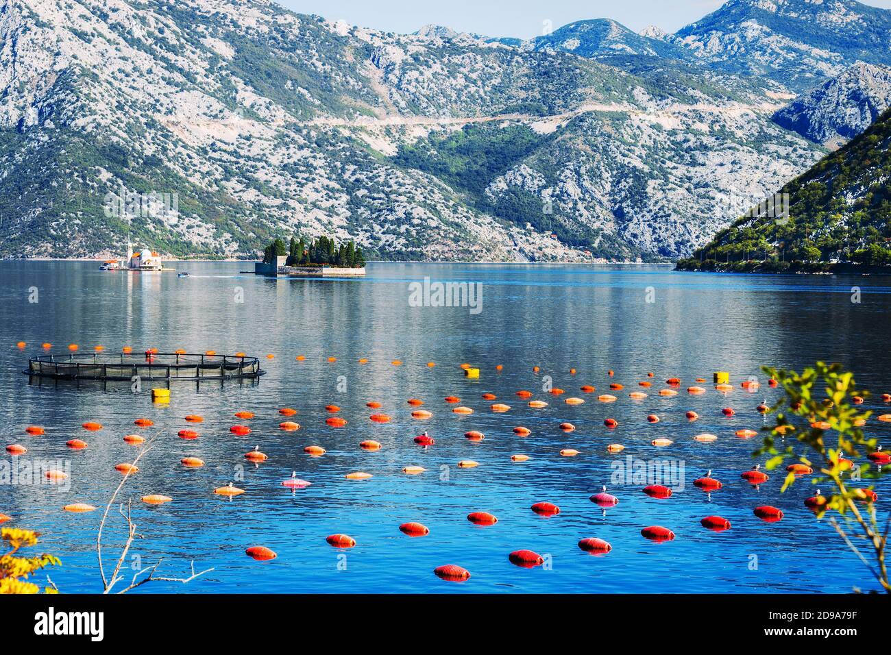 Muschelfarmen in Stoliv, Kotor Bay, Montenegro Stockfoto