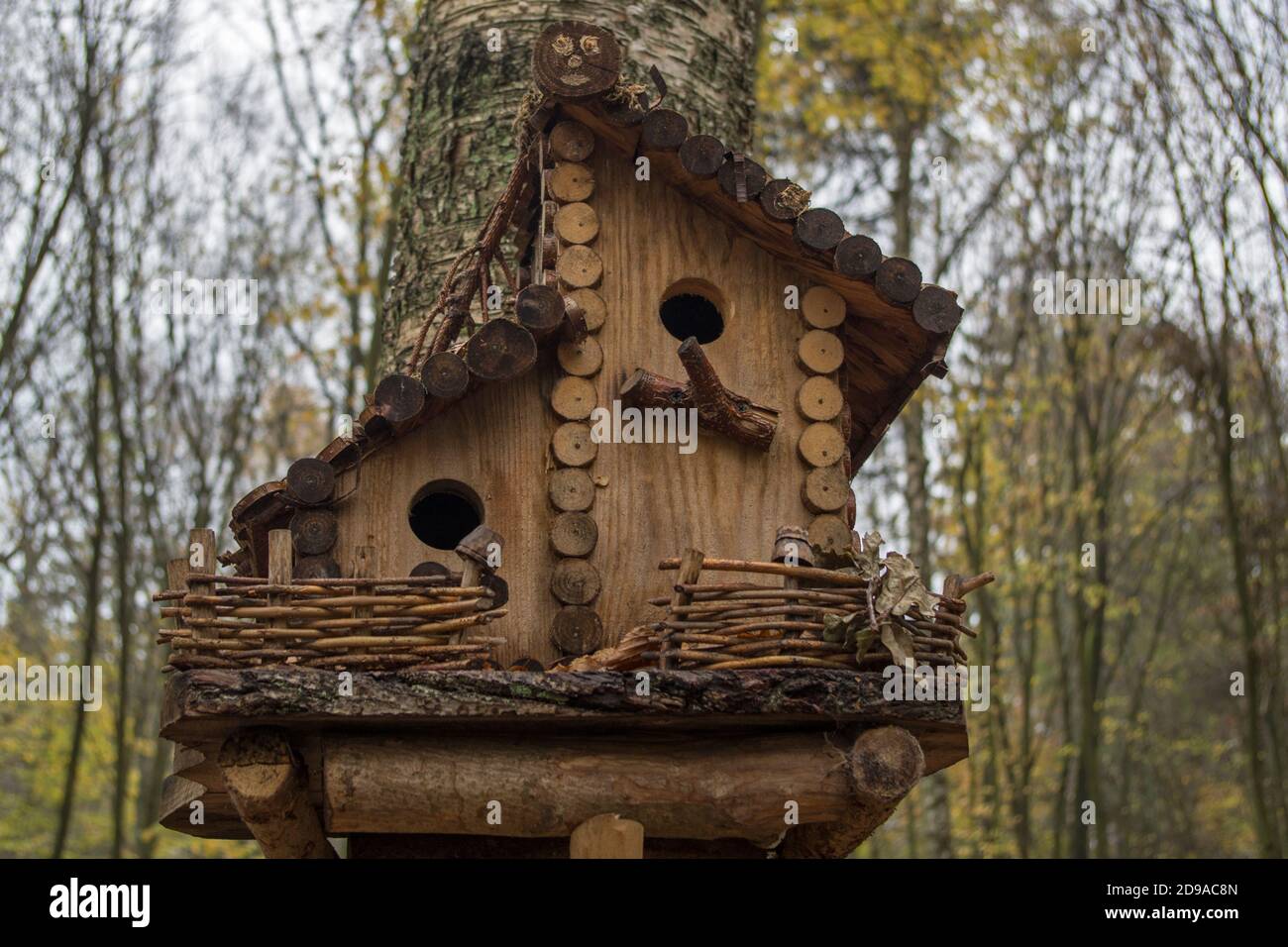 Niedliches Vogelhaus aus Holz, das an einem Birkenstamm aus Brettern und geschnittenen Zweigen mit Giebeldach befestigt ist, Feeder-Balkon, Zaun aus Zweigen auf verschwommenem Hintergrund. Stockfoto