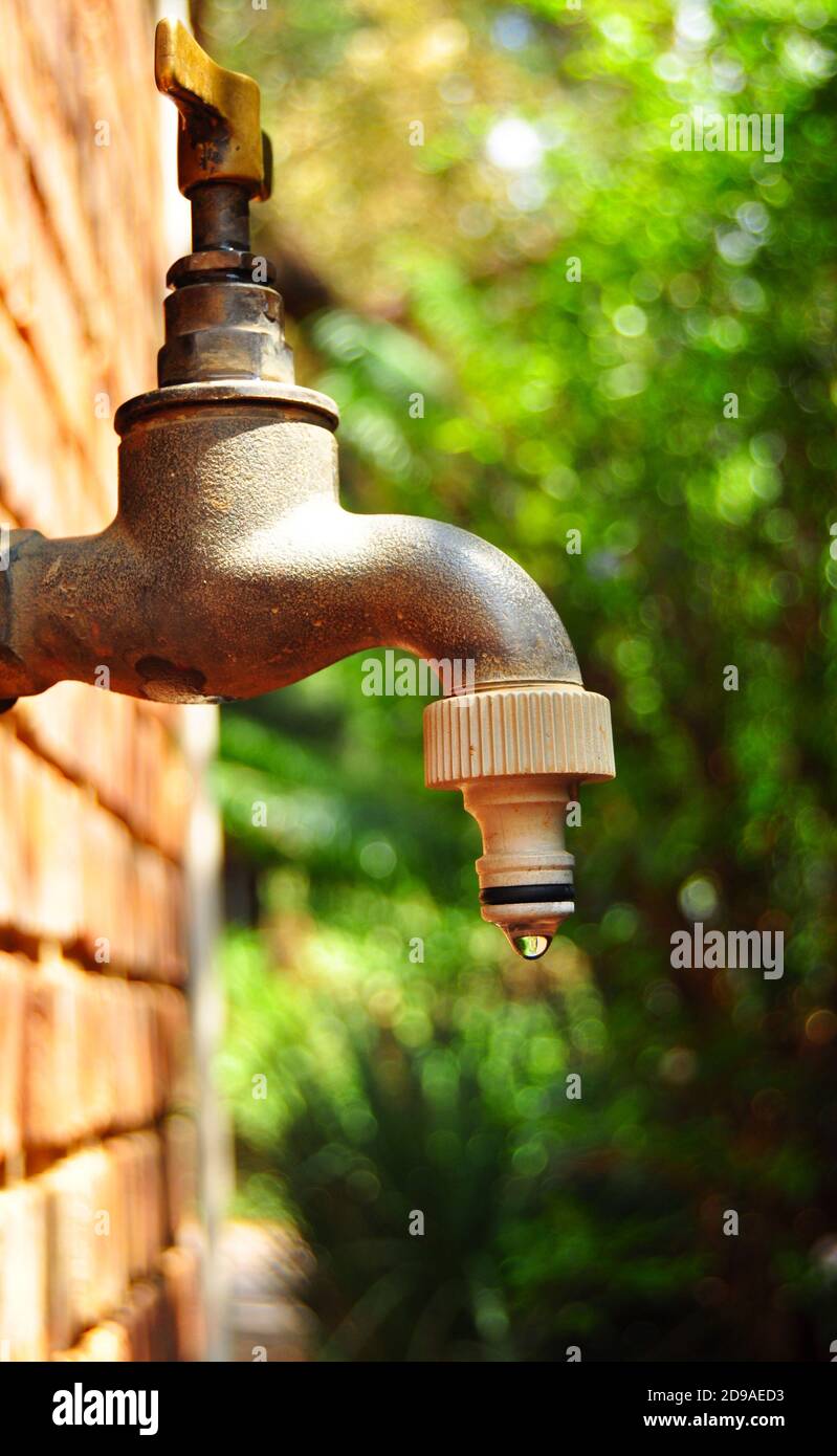 Wasser tropft aus dem Wasserhahn im Garten, Wasserknappheit Konzept Stockfoto