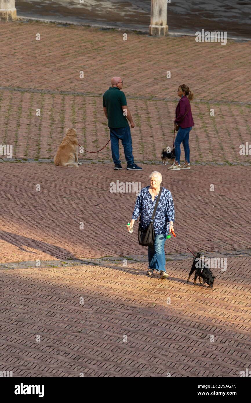 Menschen zu Fuß Hunde auf der Piazza del Campo, Siena, Toskana, Italien Stockfoto