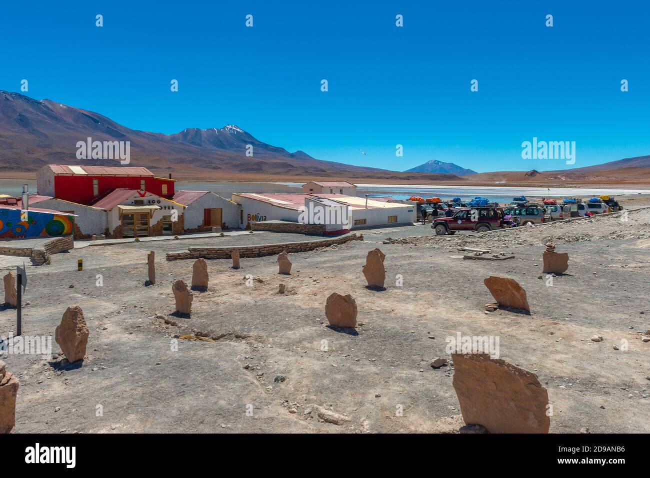 Laguna Cañapa mit pinkfarbenen chilenischen Flamingos, District Potosí, Southern Altiplano, Anden, Southwest Bolivien, Lateinamerika Stockfoto