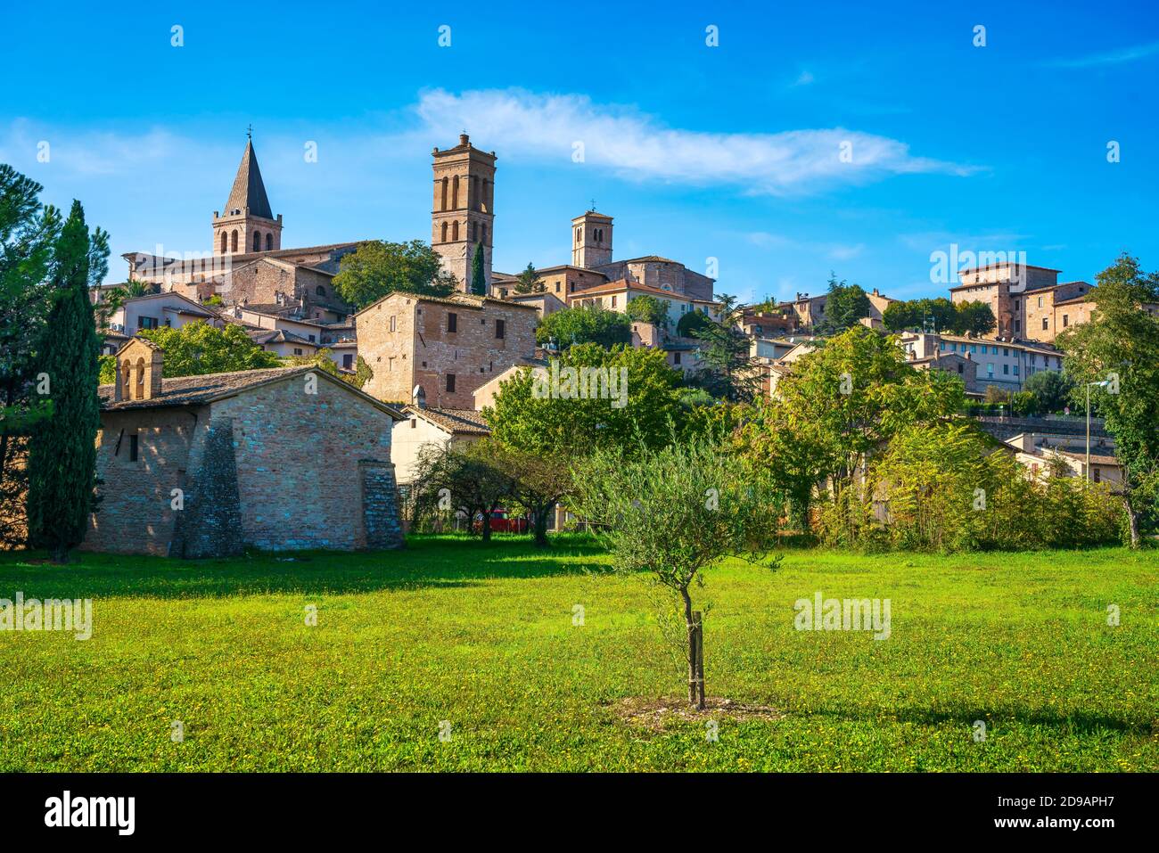 Spello mittelalterliches Dorf und Olivenbaum. Perugia, Umbrien, Italien, Europa. Stockfoto