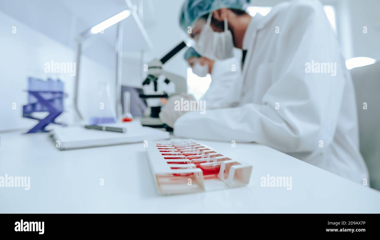 Gruppe von Wissenschaftlern betreibt Forschung im Labor . Stockfoto