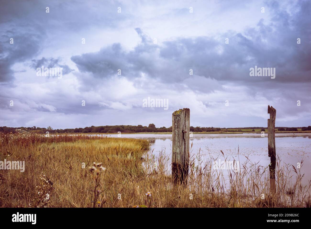 Marschland am Ufer der Alde bei Snape in Suffolk, England, Großbritannien Stockfoto