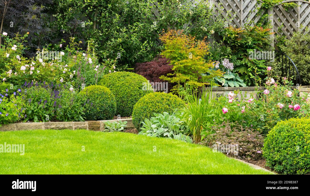 Landschaftlich schöner sonniger privater Garten (modernes Design, Sommerblumen, Randpflanzen, Sträucher, Kastenbälle, niedrige Mauer, Zaun, Rasen) - Yorkshire, England Stockfoto