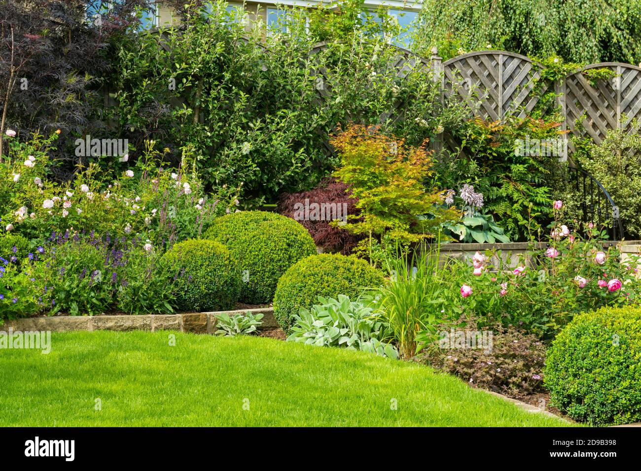 Landschaftlich schöner sonniger privater Garten (modernes Design, Sommerblumen, Randpflanzen, Sträucher, Kastenbälle, niedrige Mauer, Zaun, Rasen) - Yorkshire, England Stockfoto