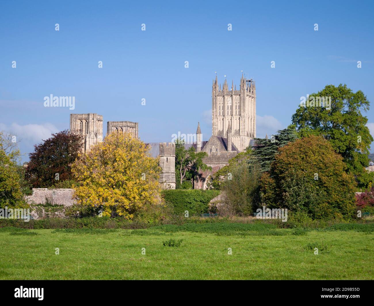Wells Kathedrale und Bishop's Palace von Palace Fields im Herbst in der Stadt Wells, Somerset, England. Stockfoto