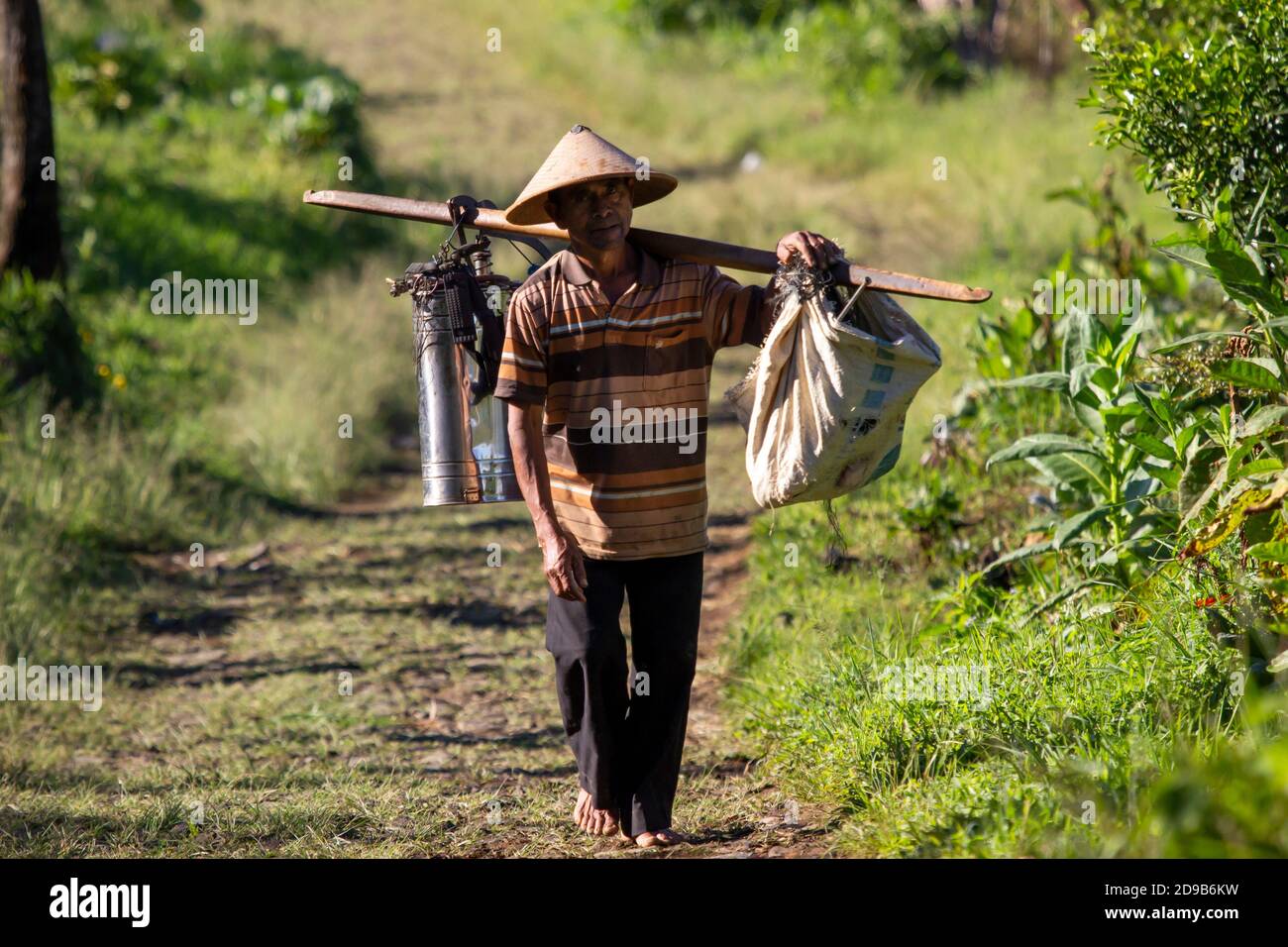 Ein alter Bauer ging zu seinem Garten mit Werkzeugen und Lebensmitteln. Morgen Aktivitäten der Hochlandbewohner von Wonosobo, Zentral-Java, Stockfoto