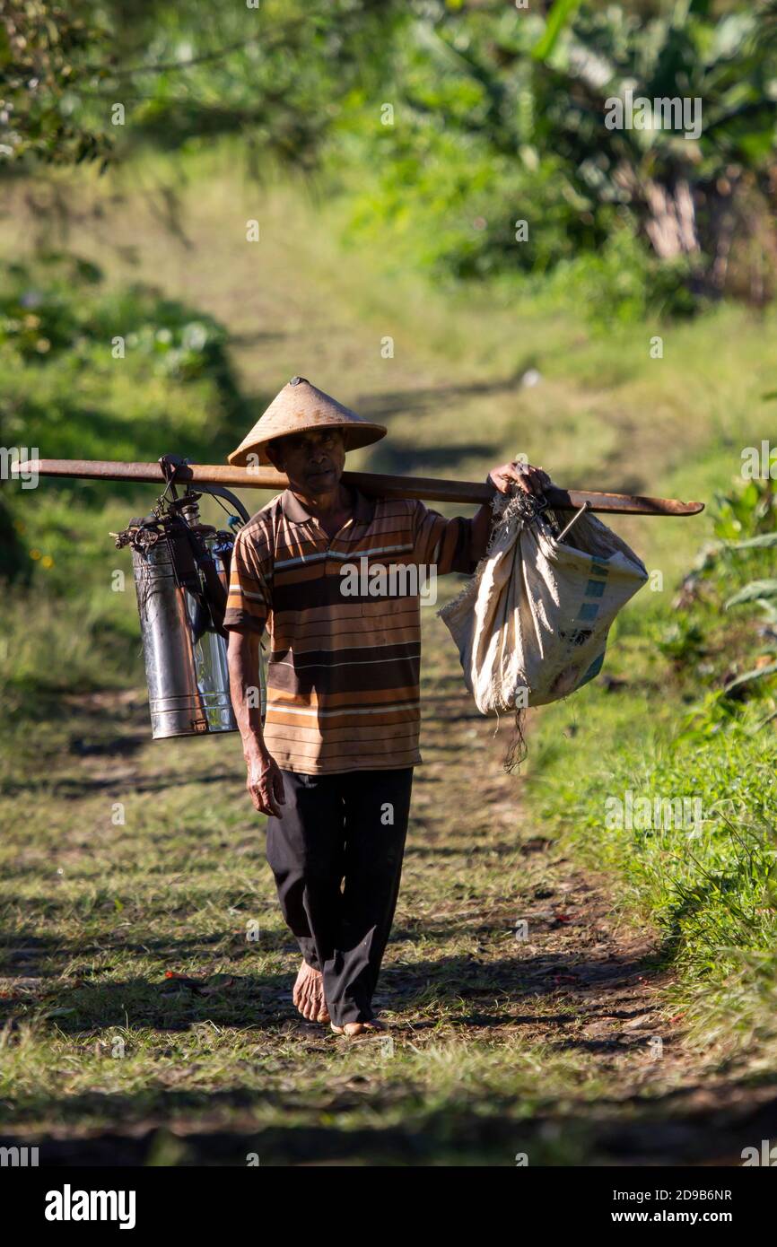Ein alter Bauer ging zu seinem Garten mit Werkzeugen und Lebensmitteln. Morgen Aktivitäten der Hochlandbewohner von Wonosobo, Zentral-Java, Stockfoto