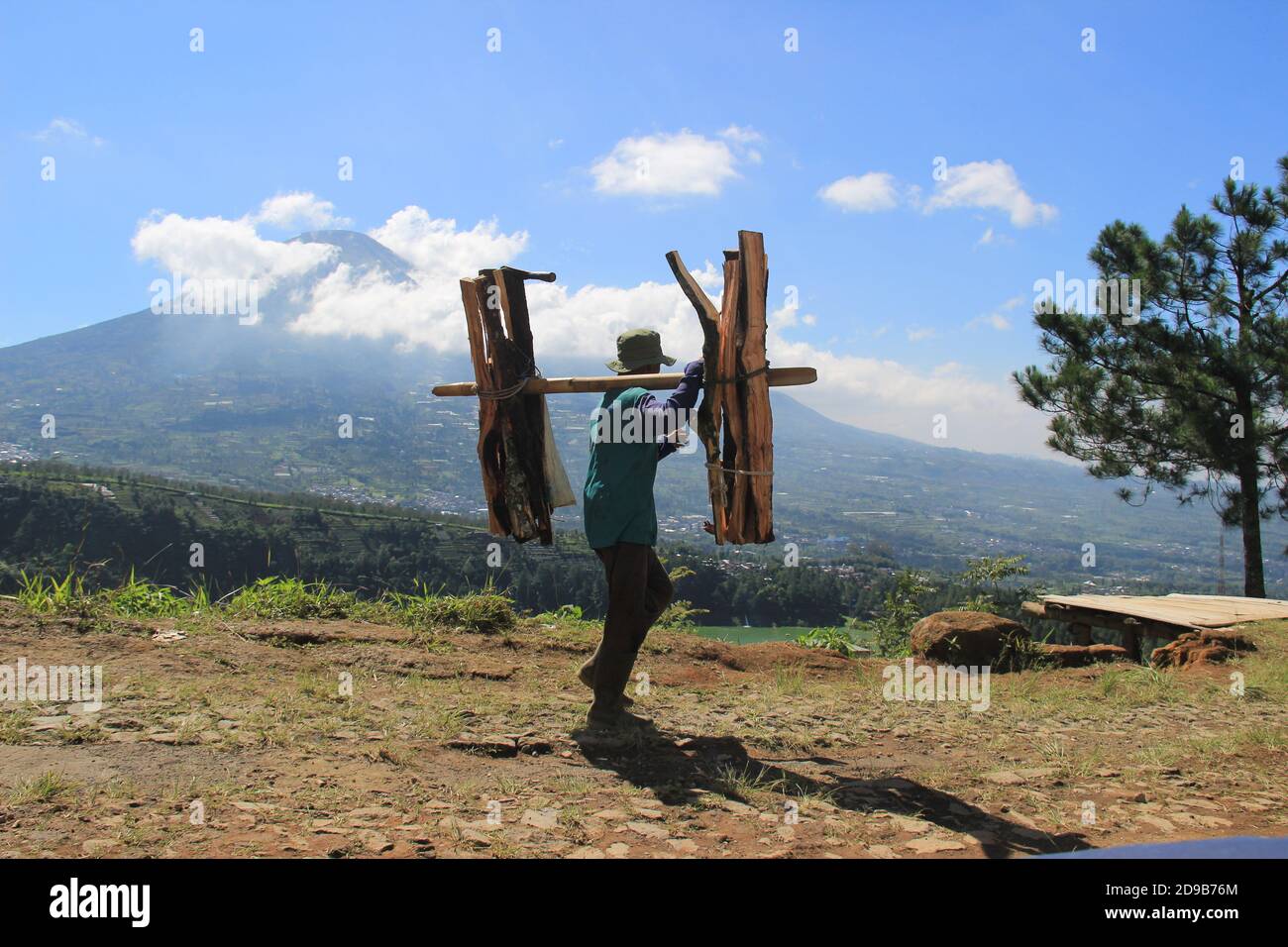 Ein alter Bauer ging zu seinem Haus mit Holz aus seinem Garten. Morgen Aktivitäten der Hochlandbewohner von Wonosobo, Zentral-Java Stockfoto