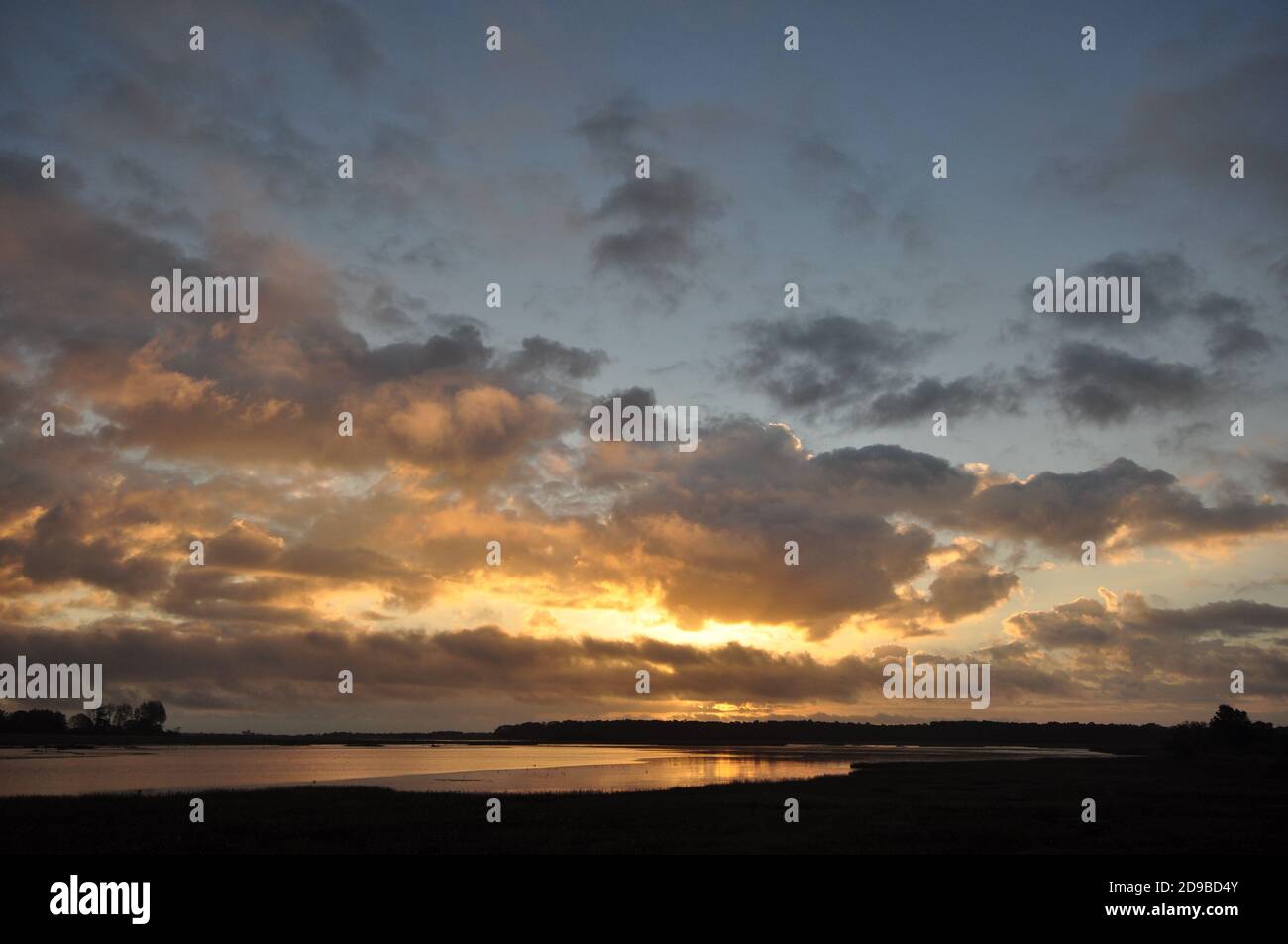 River Blyth in Blythburgh, am westlichen Ende des Walberswick National Nature Reserve, Suffolk, England, Großbritannien. Stockfoto