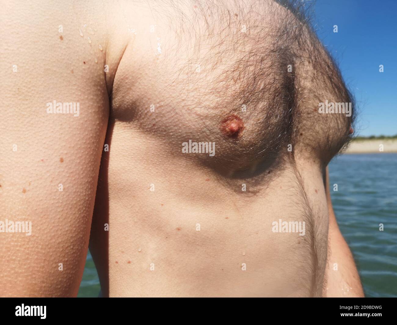 Nahaufnahme der Brust eines Mannes, Italien Stockfoto