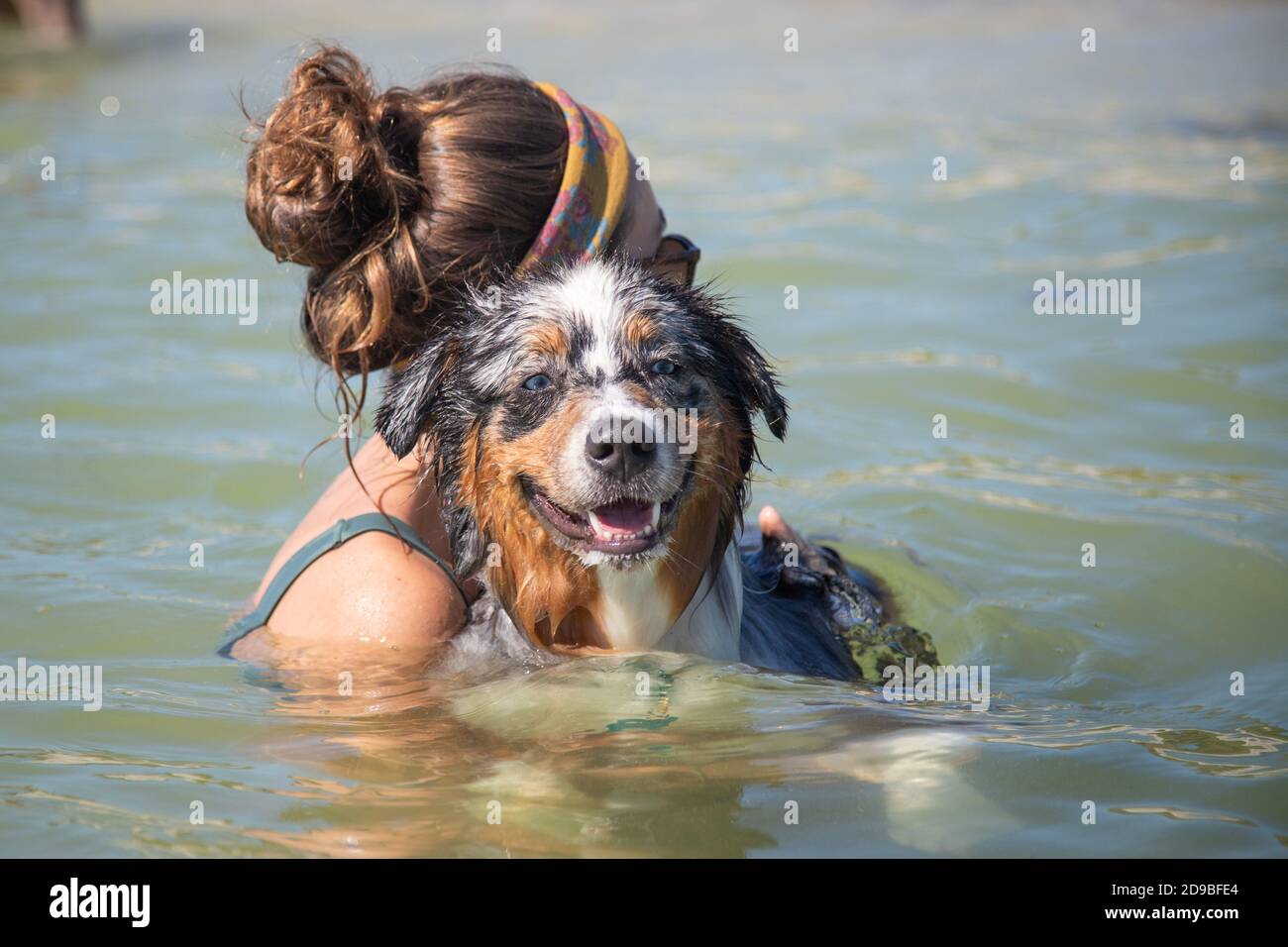 Frau schwimmend im Meer mit einem australischen Schäferhund, Florida, USA Stockfoto