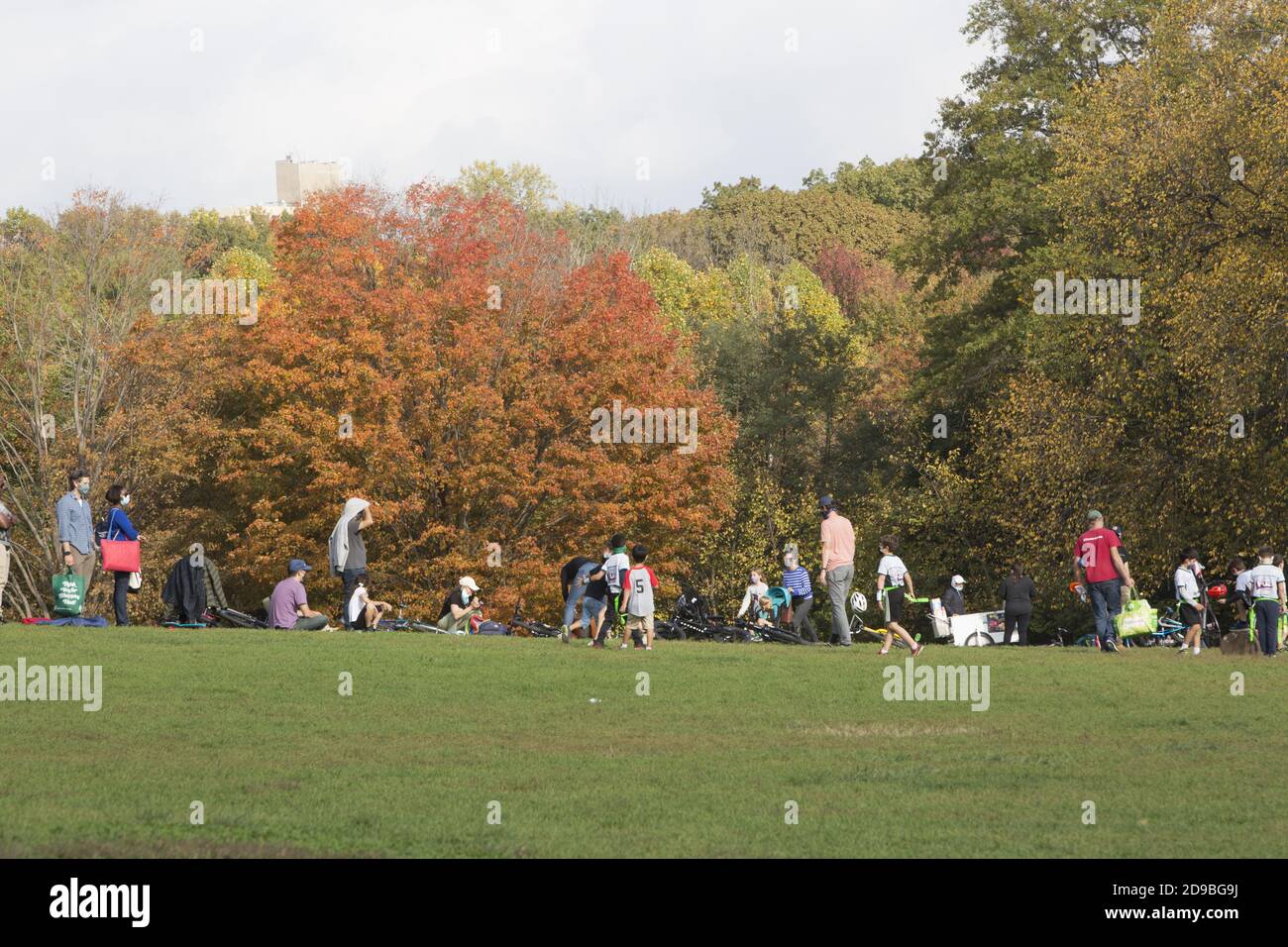 Familien versammeln sich an einem schönen Herbsttag im Prospect Park, Brooklyn, New York. Stockfoto