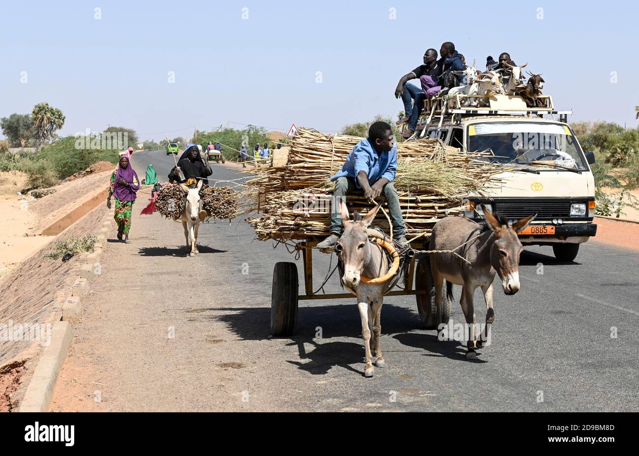 NIGER, Dorf Namaro, Landverkehr, Menschen gehen auf den Markt mit Eselskarren und Mini-Bus / Dorf Namaro, Transport zum Markt Stockfoto