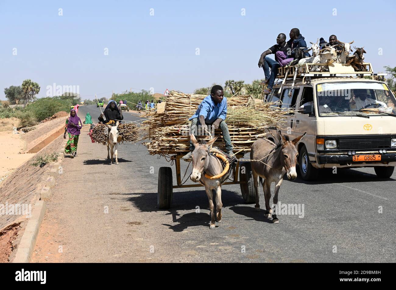 NIGER, Dorf Namaro, Landverkehr, Menschen gehen auf den Markt mit Eselskarren und Mini-Bus / Dorf Namaro, Transport zum Markt Stockfoto