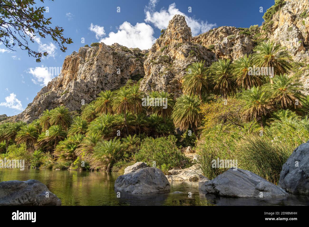 Kretische Sattelpalmen und der Fluss Megalopotamos in der Schlucht von Preveli, Kreta, Griechenland, Europa und dem Megalopotamo Stockfoto