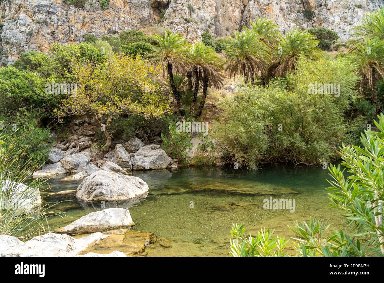 Kretische Sattelpalmen und der Fluss Megalopotamos in der Schlucht von Preveli, Kreta, Griechenland, Europa und dem Megalopotamo Stockfoto