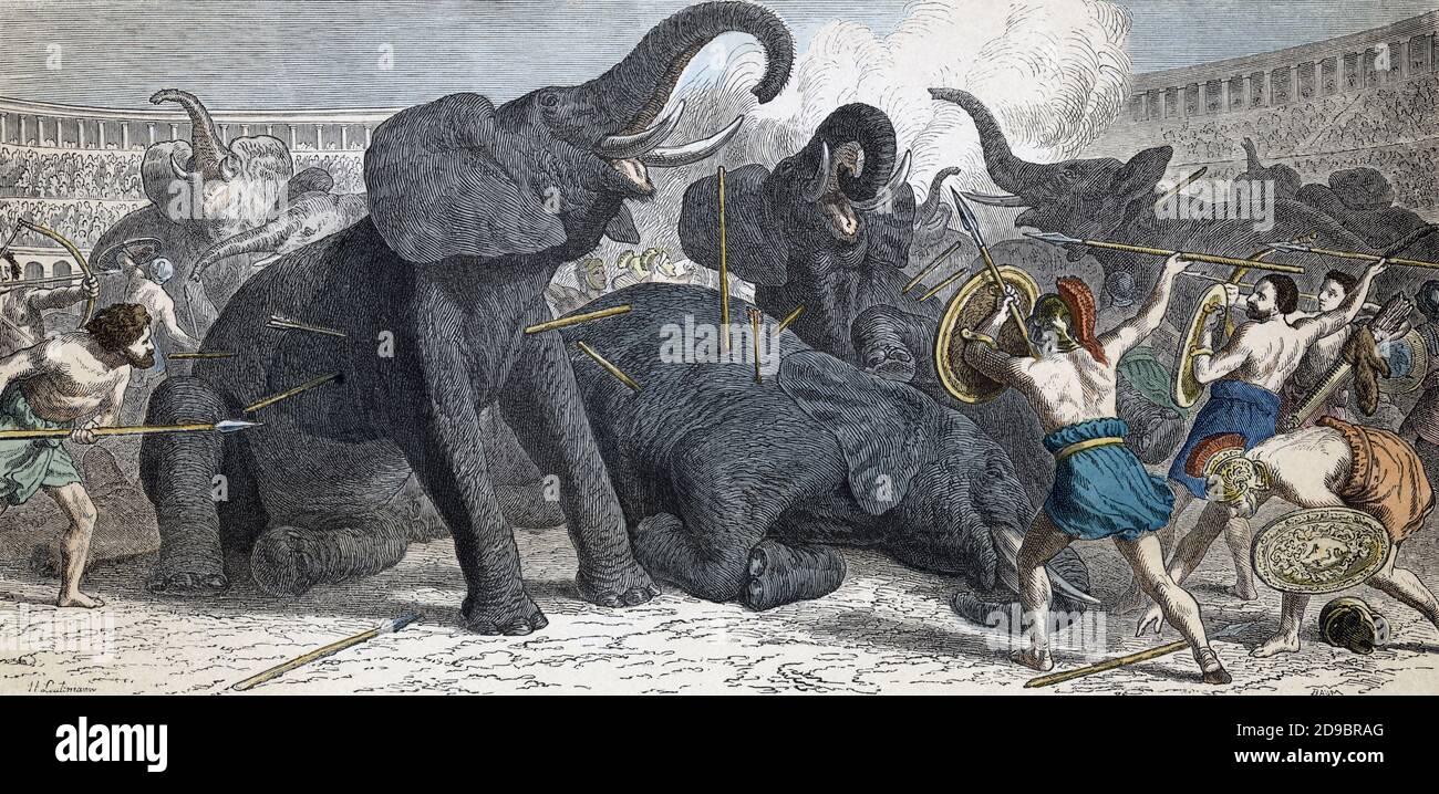 Elefanten werden bei Spielen in einer römischen Arena geschlachtet. Nach einem Werk von Heinrich Leutemann aus dem 19. Jahrhundert. Stockfoto