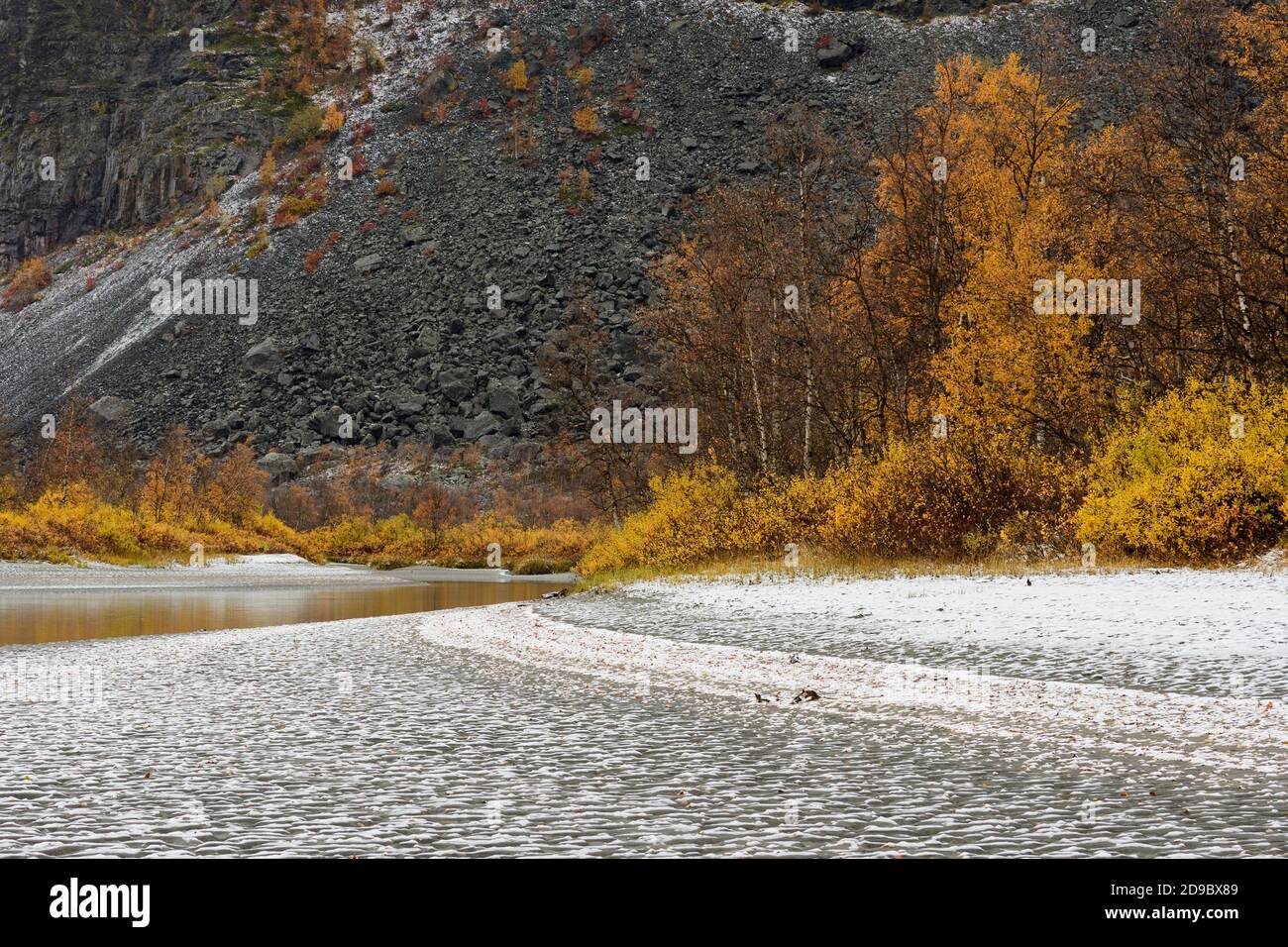 Schnee, Felsen und Herbstblätter entlang des Rapa Flusses im Sarek Nationalpark, Schweden Stockfoto