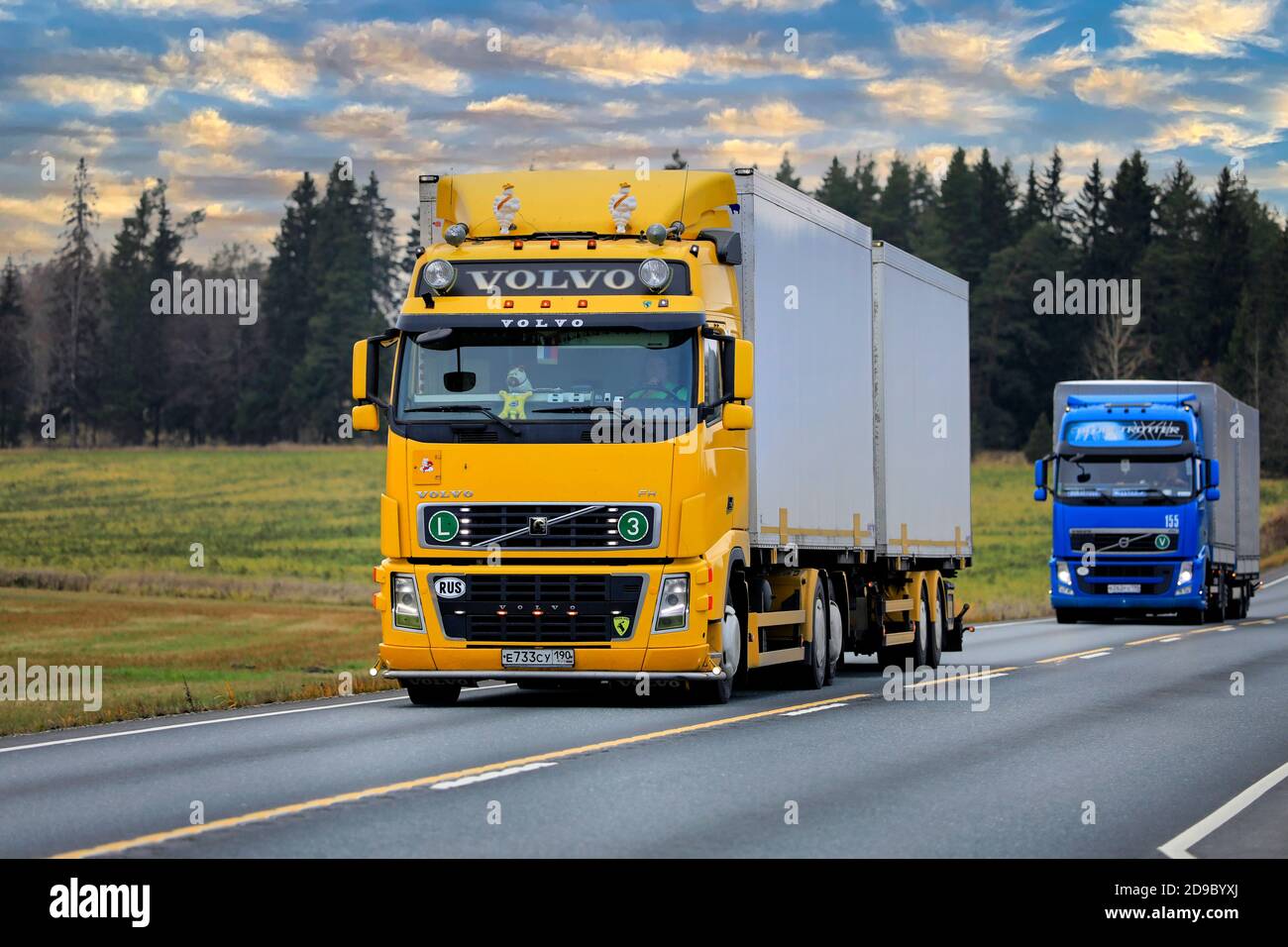 Gelber, angepasster Volvo FH Gütertransportwagen gefolgt von blauem Volvo FH bei Geschwindigkeit auf Autobahn 2. Jokioinen, Finnland. 30. Oktober 2020. Stockfoto