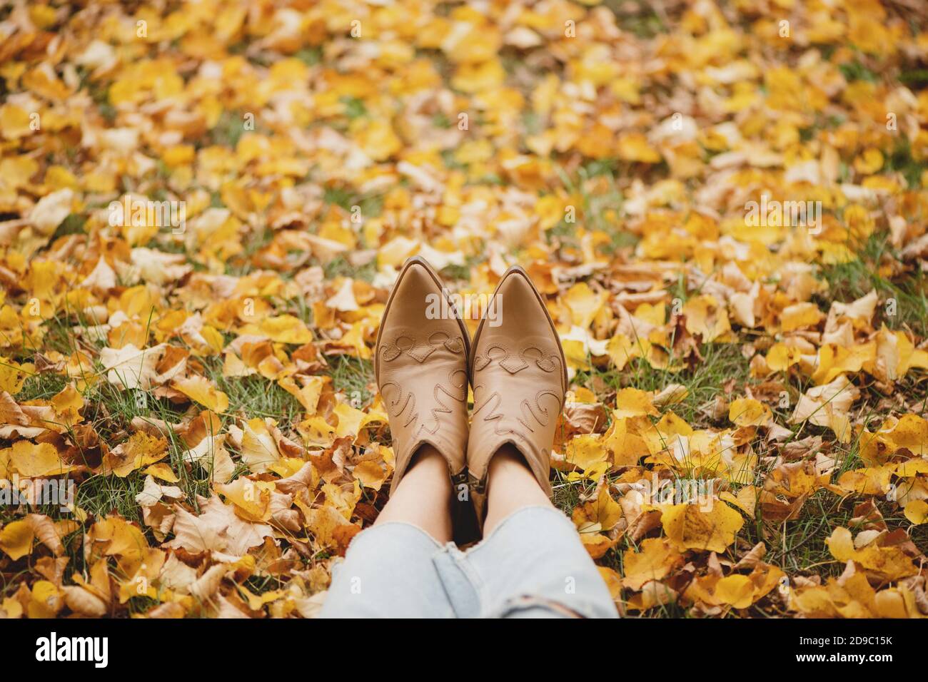 Herbsthintergrund mit Frauenbeinen in Cowboystiefeln auf den Herbstblättern. Stockfoto