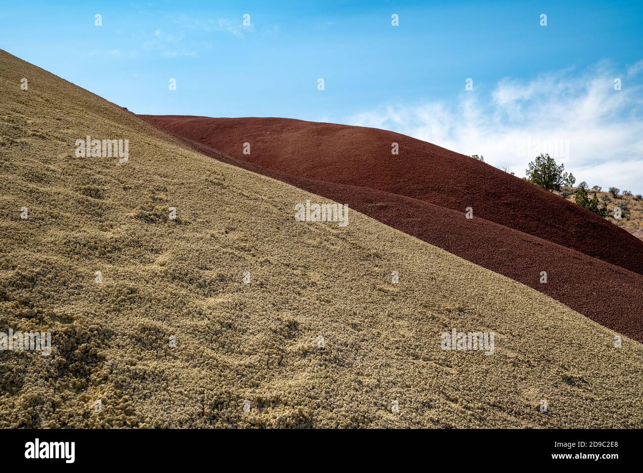 Painted Cove Bereich der Painted Hills von John Day Fossil Beds National Monument Stockfoto