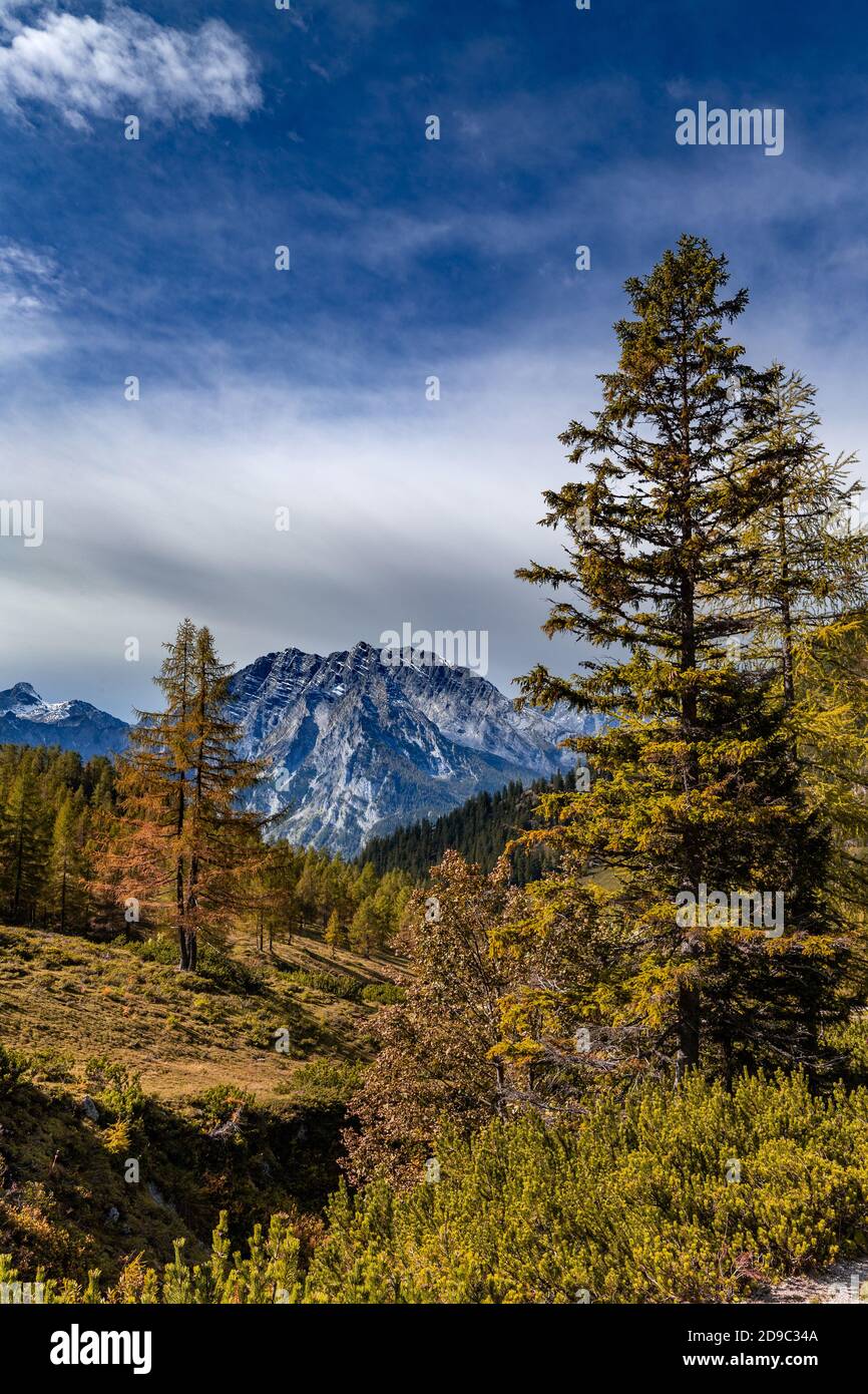 Blick vom Hagengebirge in Richtung Watzmann im Berchtesgadener Land, Bayern, Deutschland, im Herbst. Stockfoto