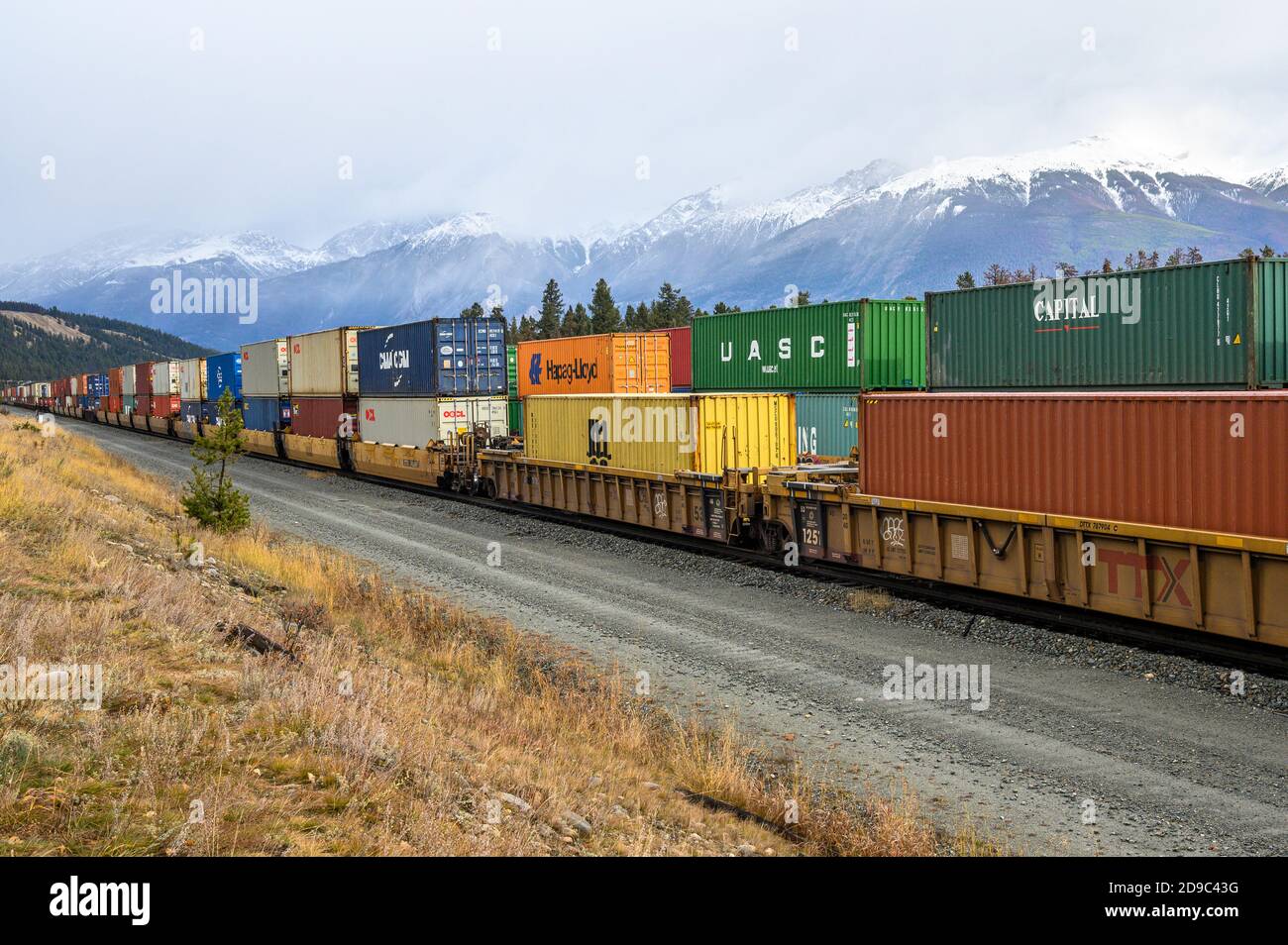 Güterzug mit bunten intermodalen Containern in den kanadischen Rockies Stockfoto