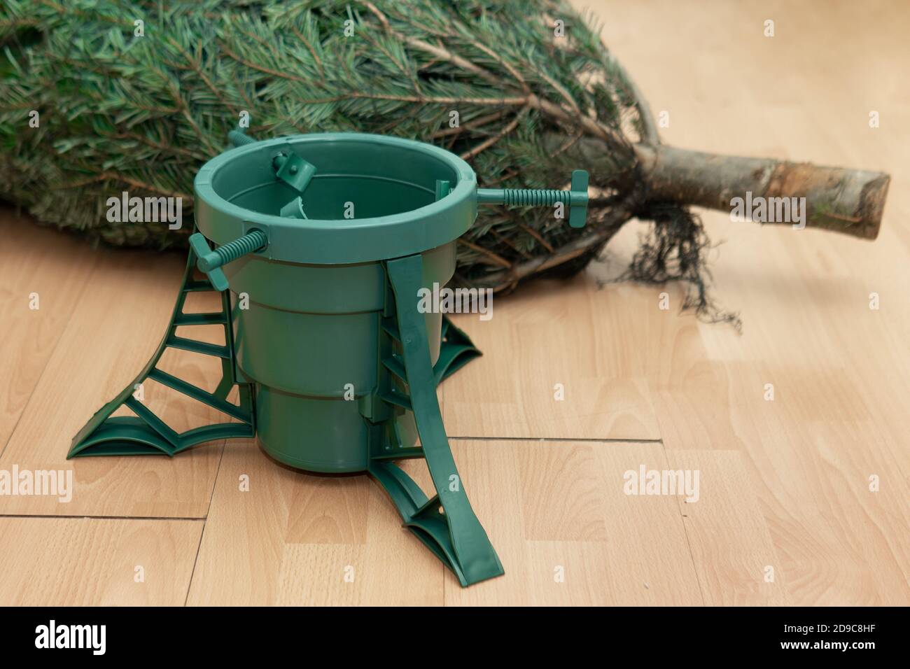 Ich habe gerade einen Weihnachtsbaum gekauft, der auf dem Boden neben dem Hotel liegt Ein Kunststoffständer Stockfoto