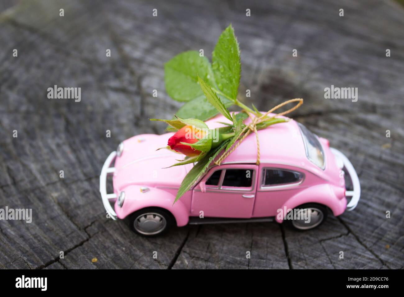 Spielzeug rosa Auto auf Holz Hintergrund mit roten Rosenzweig  Stockfotografie - Alamy