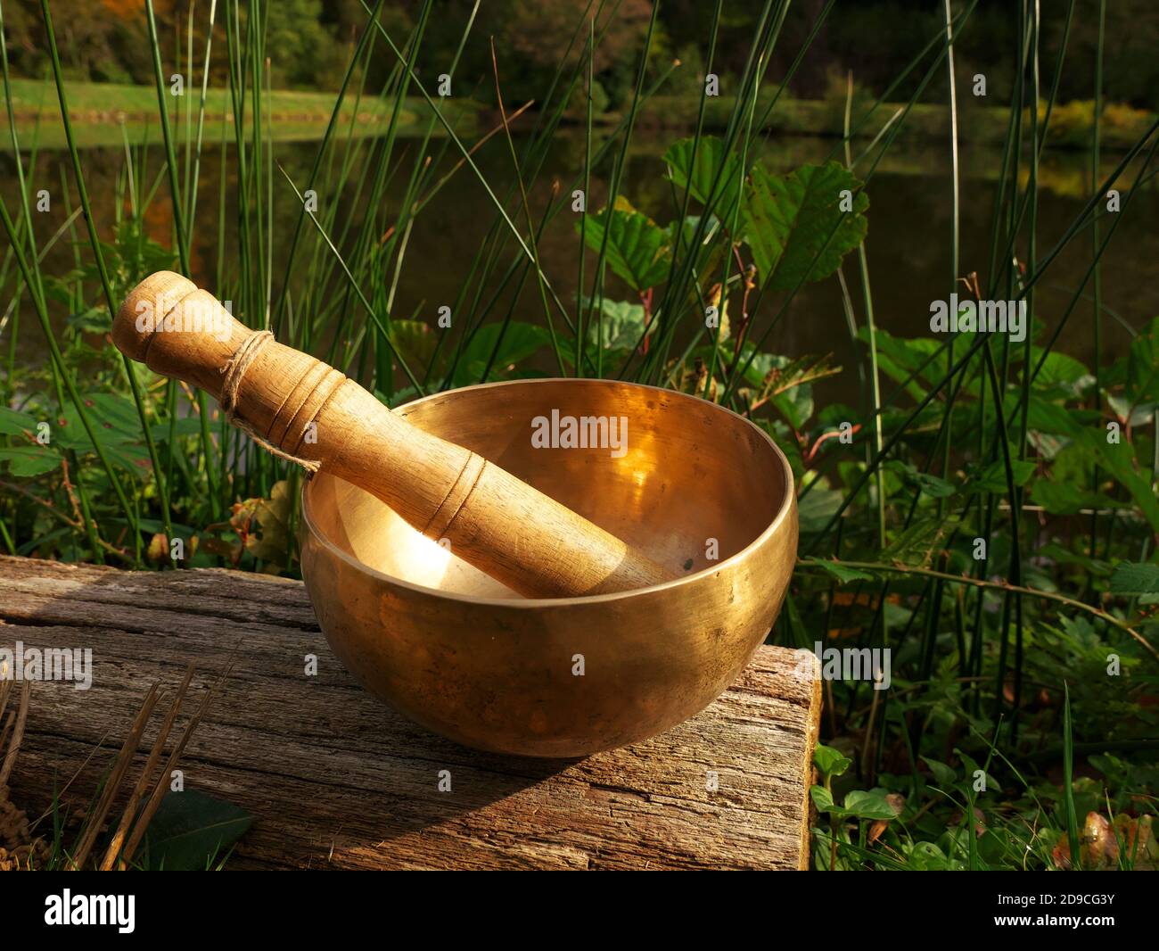 Singende Schüssel auf einem Holzbalken am Rand gesetzt Eines Sees Stockfoto