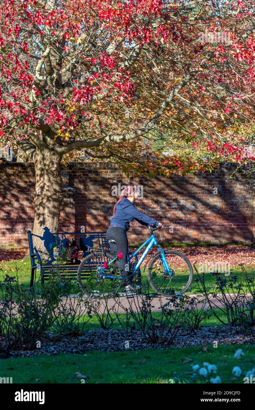 Junge Frau, die mit dem Fahrrad unter einem bunten Herbstbaum sitzt Stockfoto