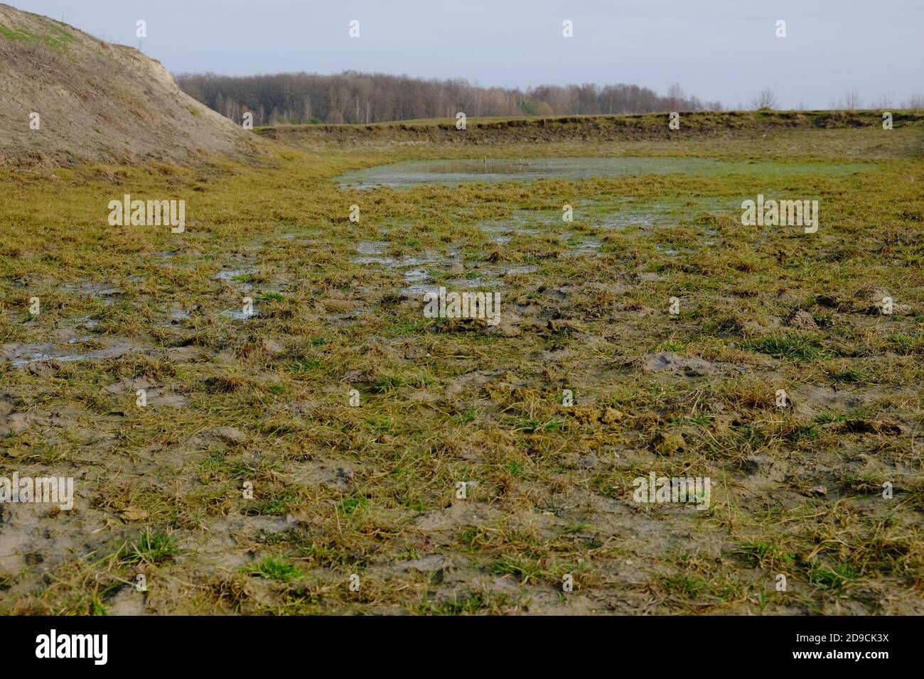 Der exponierte Grund des trockenen Teiches. Ein flacher Wasserkörper. Stockfoto